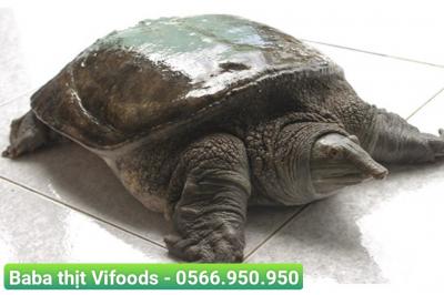 Giá baba thịt mới nhất 2023