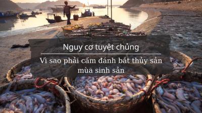 Vì sao phải cấm đánh bắt thủy sản mùa sinh sản
