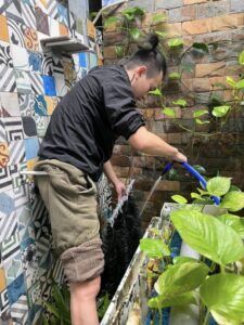 vệ sinh thường xuyên để đảm bảo sức khỏe cá koi