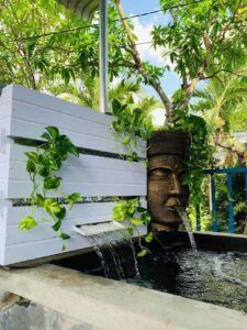 trang trí hồ bằng cây cảnh