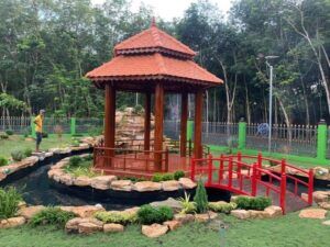 mẫu hồ cá koi hiện đại cho biệt thự vườn