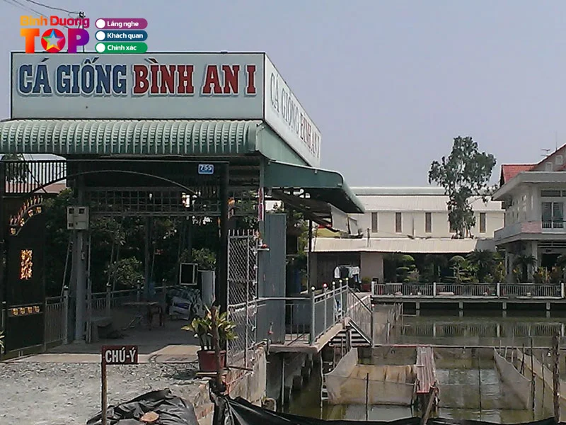 co-so-ca-giong-binh-an-1-ban-ca-giong-tai-binh-duong-uy-tin-binhduongtoplist